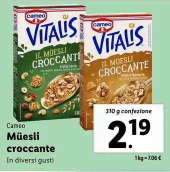 Lidl Cameo Müesli croccante offerta