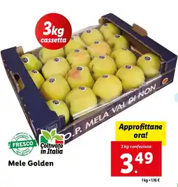 Lidl Mele Golden offerta