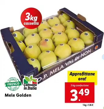 Lidl Mele Golden offerta