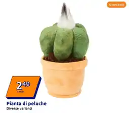 Action Pianta di peluche diverse varianti offerta