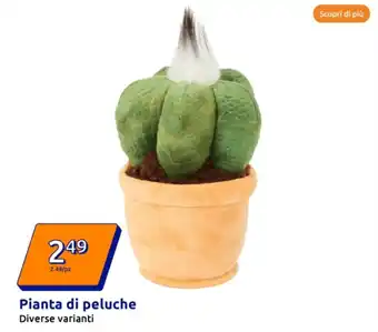 Action Pianta di peluche diverse varianti offerta