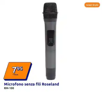 Action Scopri di più microfono senza fili roseland RM - 100 offerta