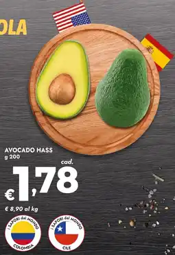 Bennet Avocado hass offerta