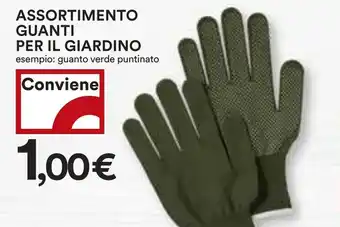 Coop Assortimento guanti per il giardino offerta