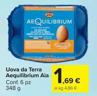 Carrefour Market Uova da Terra Aequilibrium Aia offerta