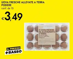 Bennet Uova fresche allevate a terra podere conf. da 15 offerta