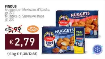 Prezzemolo e Vitale FINDUS Nuggets di Merluzzo d'Alaska offerta