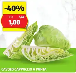 ALDI Cavolo cappuccio a punta offerta