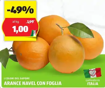 ALDI I colori del sapore arance navel con foglia offerta