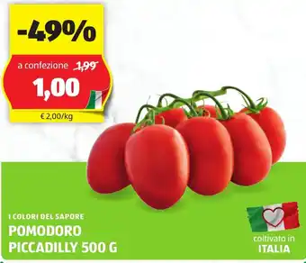 ALDI I colori del sapore pomodoro piccadilly offerta