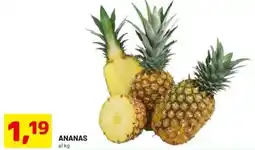 DPiù Ananas al kg offerta