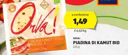 ALDI Orva! piadina di kamut bio offerta