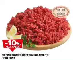 DPiù Macinato scelto di bovino adulto scottona offerta