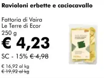 NaturaSì Ravioloni erbette e caciocavallo Fattoria di Vaira Le Terre di Ecor offerta