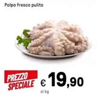 Iper La Grande Polpo fresco pulito offerta