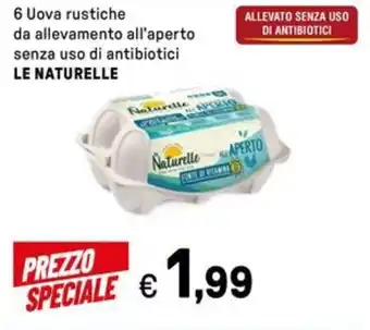 Iper La Grande 6 uova rustiche da allevamento all'aperto senza uso di antibiotici LE NATURELLE offerta