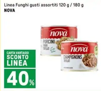 Iper La Grande Linea Funghi gusti assortiti NOVA offerta