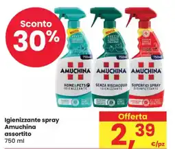 Eurospar Igienizzante spray Amuchina assortito offerta