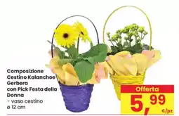 Eurospar Composizione Cestino Kalanchoe Gerbera con Pick Festa della Donna offerta