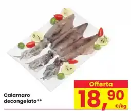 Eurospar Calamaro decongelato offerta