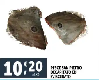 Deco Superfreddo Pesce san pietro decapitato ed eviscerato offerta