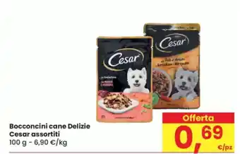 Eurospar Bocconcini cane Delizie Cesar assortiti offerta