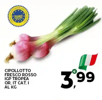 Extra Supermercati Cipollotto fresco rosso igp tropea offerta