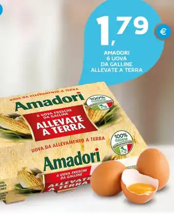 Extra Supermercati Amadori 6 uova da galline allevate a terra offerta