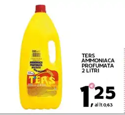 Extra Supermercati Ters ammoniaca profumata offerta