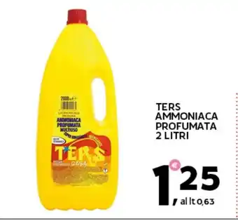 Extra Supermercati Ters ammoniaca profumata offerta