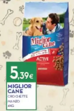 Proshop Miglior cane crochette offerta