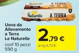 Carrefour Uova da Allevamento a Terra Le Naturelle offerta