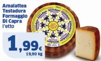 Sigma Amalattea Testadura Formaggio DI Capra l'etto offerta