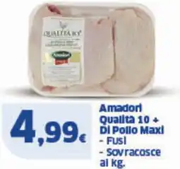 Sigma Amadori Qualita 10+ DI Pollo Maxi offerta