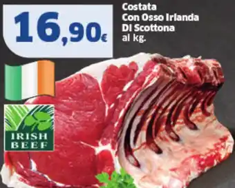 Sigma Costata Con Osso Irlanda DI Scottona offerta