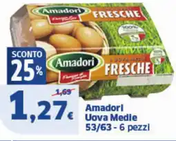 Sigma Amadorl Uova Medle 53/63-6 pezzi offerta