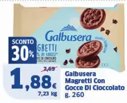 Sigma Galbusera Magretti Con Gocce DI Cloccolato offerta