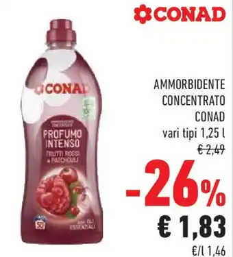 Conad Ammorbidente concentrato CONAD offerta