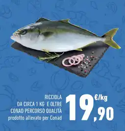 Conad Ricciola da circa 1 kg e oltre conad percorso qualità offerta