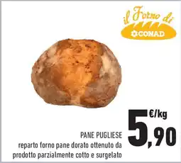 Conad Il forno di pane pugliese offerta