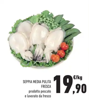 Conad Seppia media pulita fresca offerta