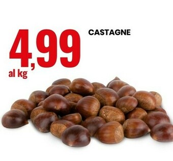 Eurospin Castagne offerta