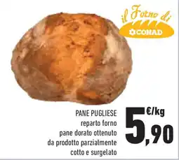 Conad Superstore Pane pugliese offerta