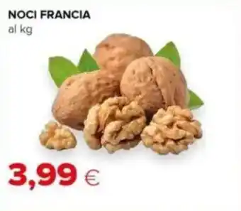 Tigre Noci francia offerta