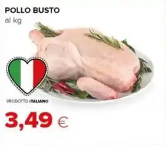 Tigre Pollo busto offerta