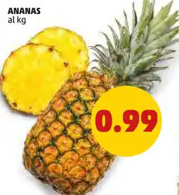 PENNY Ananas offerta