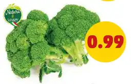 PENNY Broccoli offerta