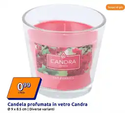 Action Candela profumata in vetro Candra offerta