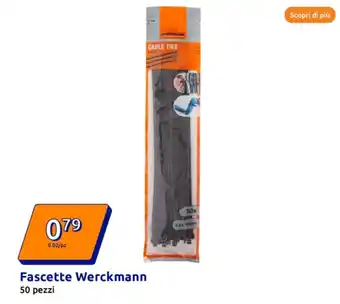 Action Fascette Werckmann offerta