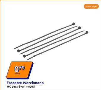 Action Fascette Werckmann offerta